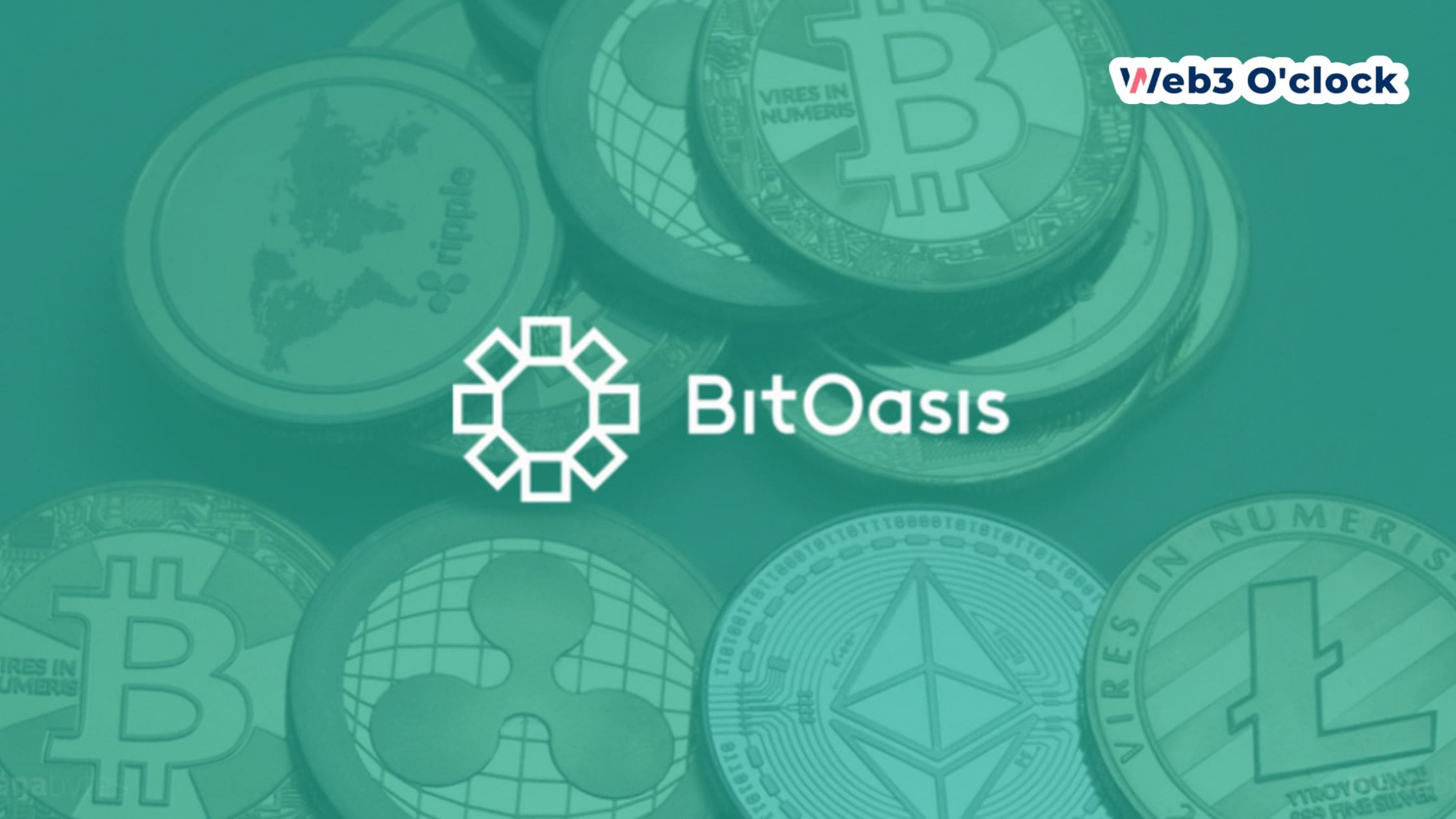 BitOasis Crypto Exchange Secures Investment from CoinDCX