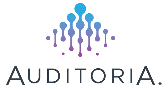 Auditoria.AI